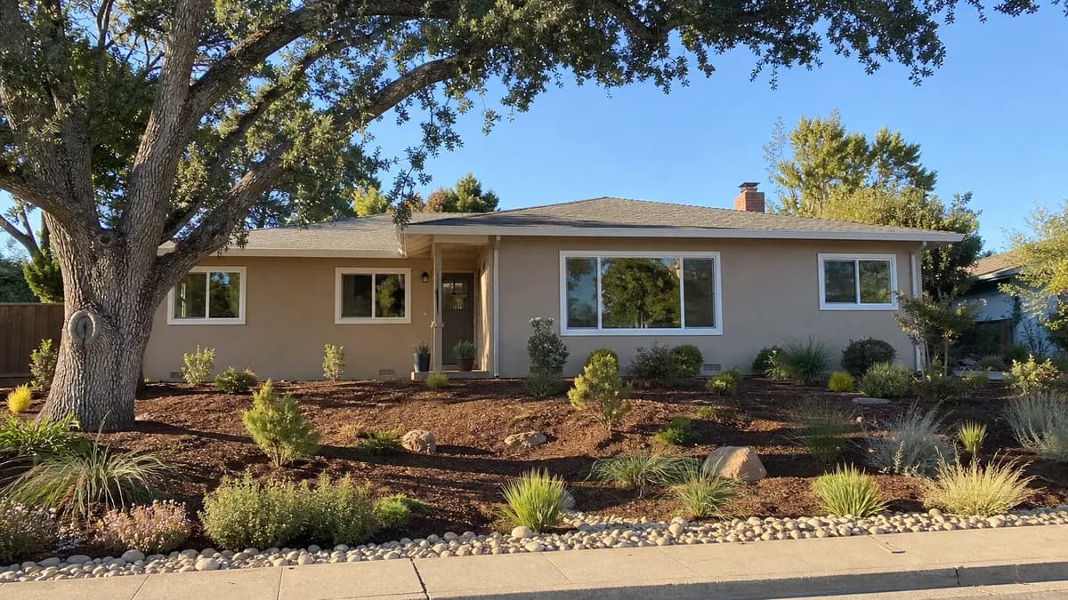 Single-story tan stucco ranch house with new white windows, including a wide three-panel front window, under a large valley oak with a drought-tolerant front yard